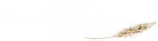 Annika Braun Fotografie